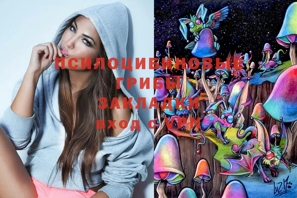 дмт Абаза