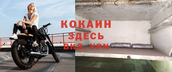 дмт Абаза