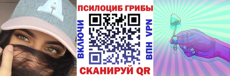 Псилоцибиновые грибы Psilocybine cubensis  купить  цена  Ковдор 