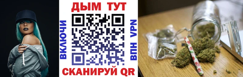 Бошки Шишки семена  Ковдор 